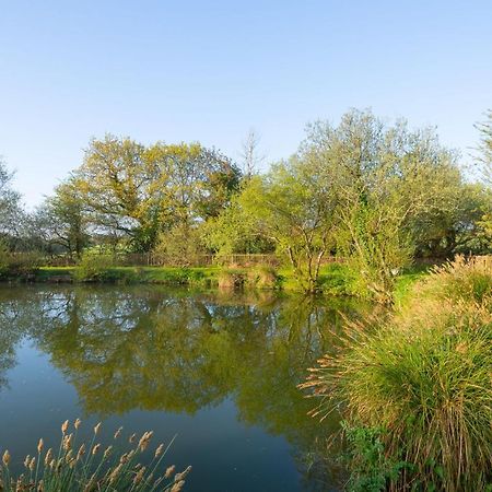 Our Goldfinch 1- Sleeps 2 Persons- Private Hot Tub-Pet Friendly-Tranquil Holiday Away From It All Yet Not Far From St Austell- The Holiday Home Has One Bedroom, Living And Dining Area, Equipped Kitchen-Decking-Outdoor Furniture-Fishing Lakes And More Grampound Esterno foto