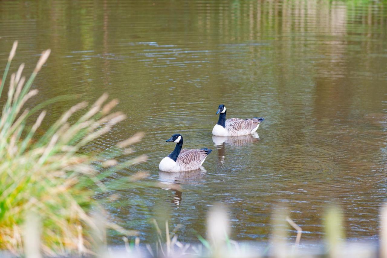 Our Goldfinch 1- Sleeps 2 Persons- Private Hot Tub-Pet Friendly-Tranquil Holiday Away From It All Yet Not Far From St Austell- The Holiday Home Has One Bedroom, Living And Dining Area, Equipped Kitchen-Decking-Outdoor Furniture-Fishing Lakes And More Grampound Esterno foto